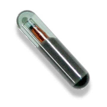 Afbeelding van Silca transponder T6